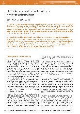 Über die organisatorische Formierung der Krankenhauspflege